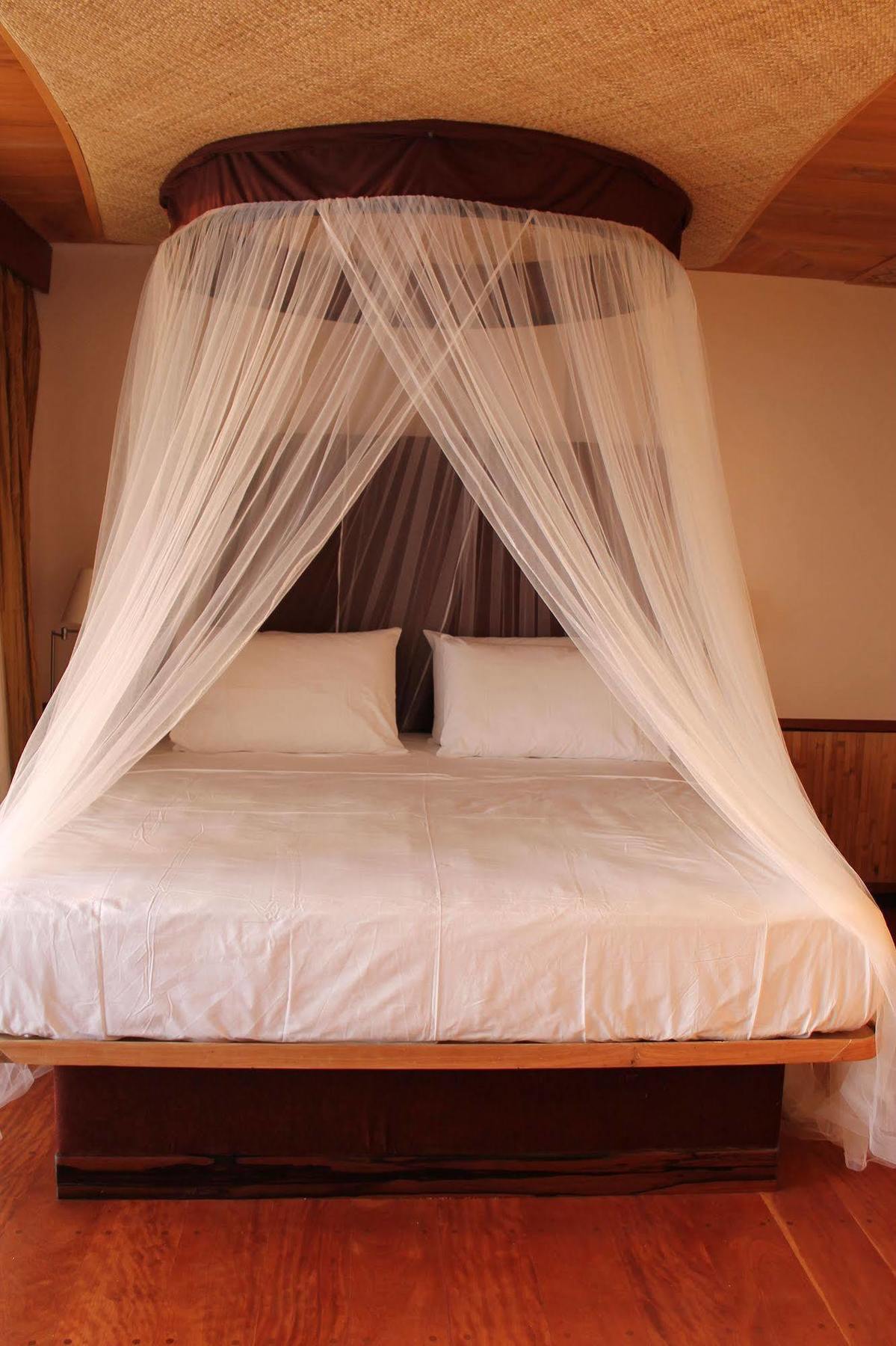 Noanoa Island (Adults Only) Otel Taytay  Dış mekan fotoğraf